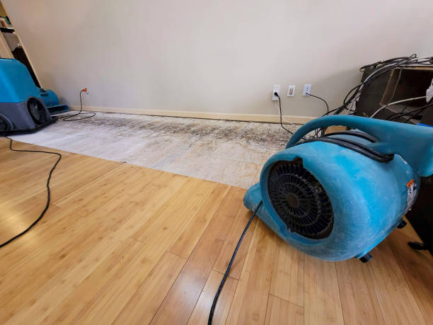Professional Water Damage Repair technician working in Dover, MN